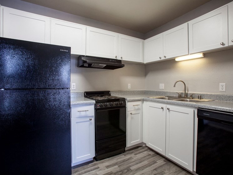 Kitchen at Cinnamon Tree Apartments in Albuquerque, MN